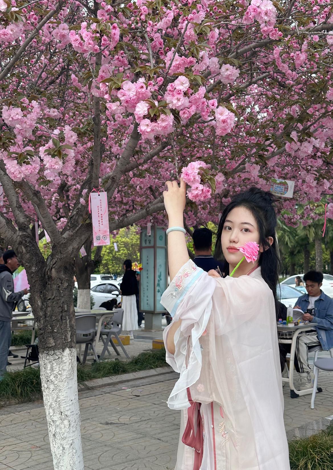 “时光剪影·西京绮梦”：一场影像与温情交织的公益之旅